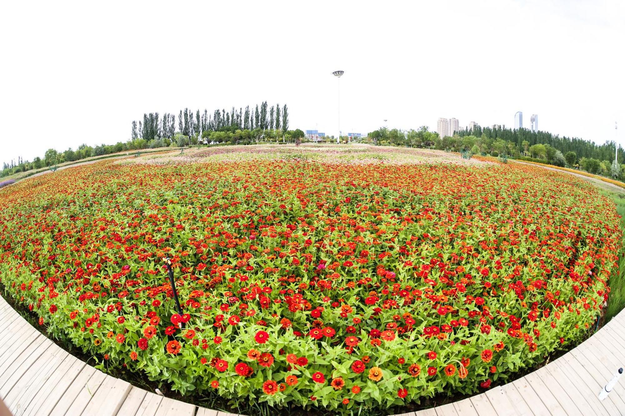 Primus Hotel Yinchuan Exterior photo