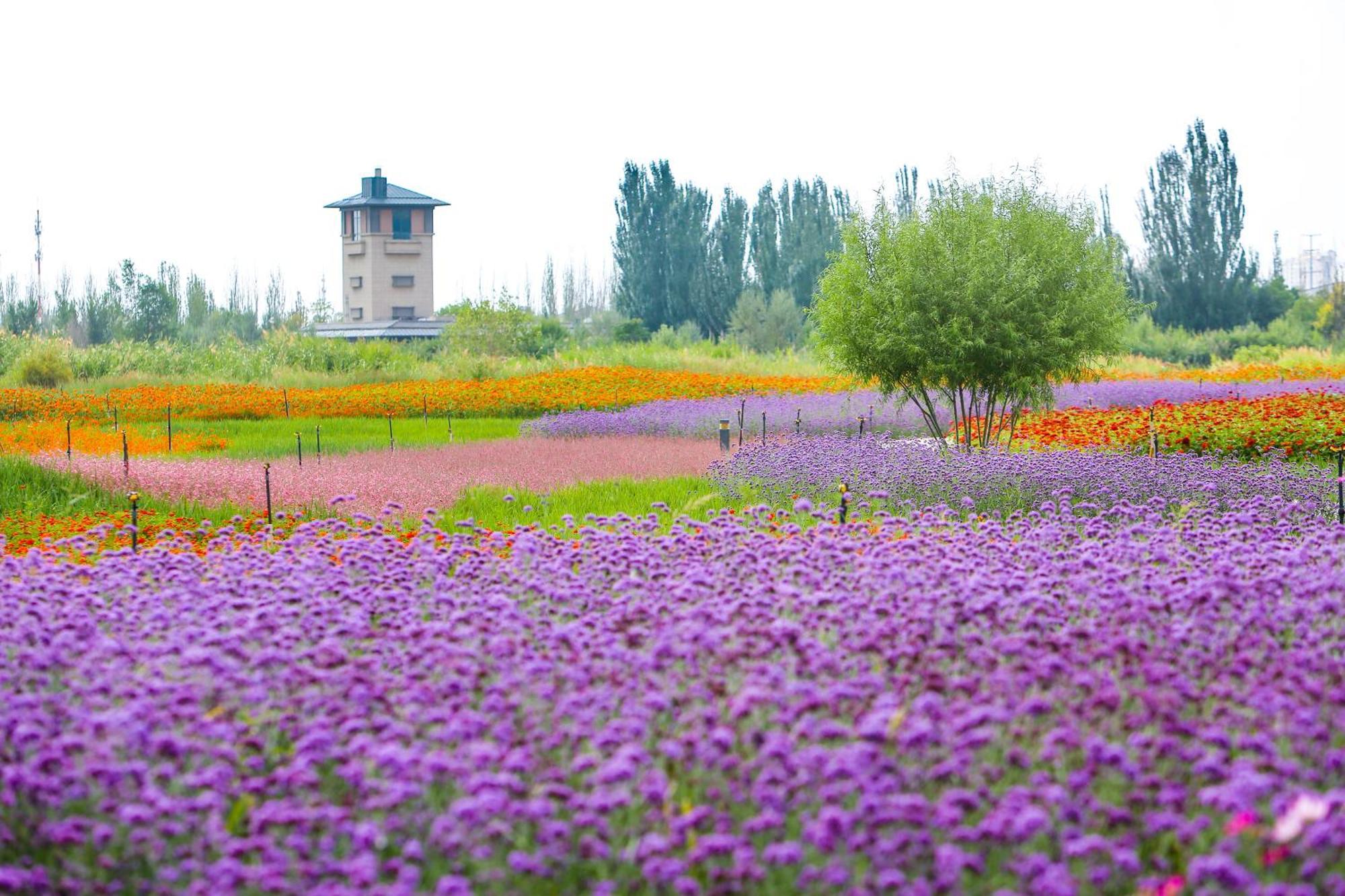 Primus Hotel Yinchuan Exterior photo